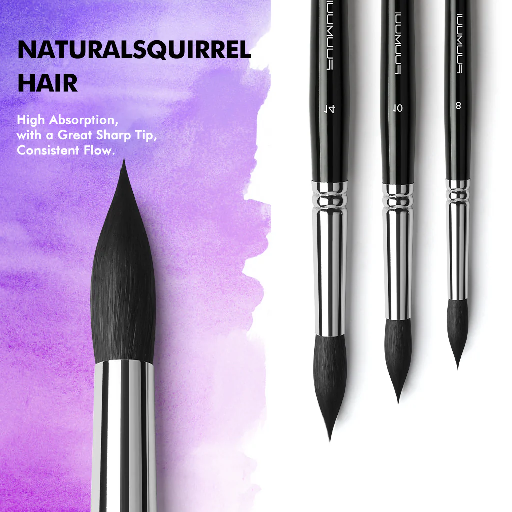 The Ultimate Squirrel Collection – Softness, Flow & Effortless Blending - Image 3